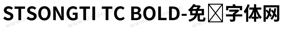 STSONGTI TC BOLD字体转换